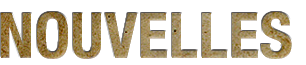 head-nouvelles